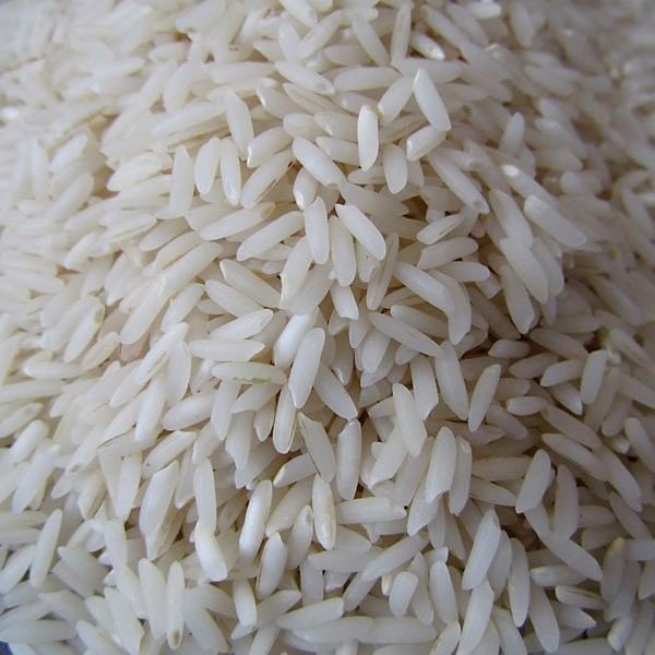 خرید برنج هاشمی فریدونکنار + قیمت فروش استثنایی